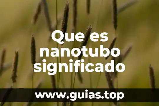 Que es dilucidar significado 8 Que es nanotubo significado