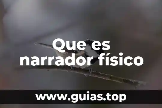 Sentido físico que es 8 Que es narrador físico