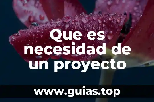 Qué es necesidad concepto 6 Que es necesidad de un proyecto