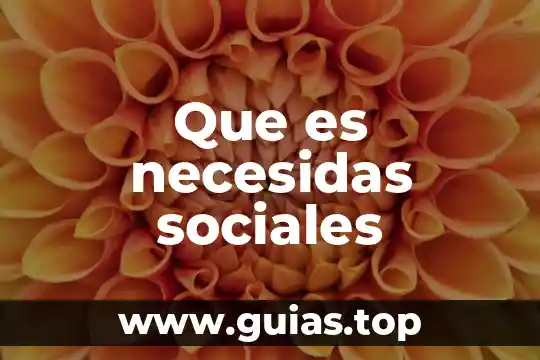 Recursos sociales que es 6 Que es necesidas sociales