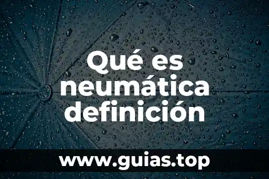 Qué es duopolio definición 8 Qué es neumática definición