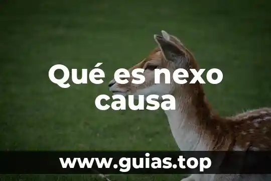 Que es lo que causa la infeccion urinaria en niños 7 Qué es nexo causa
