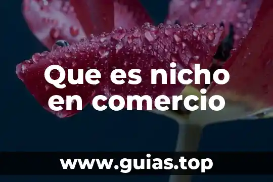 Que es un auto comercio 3 Que es nicho en comercio