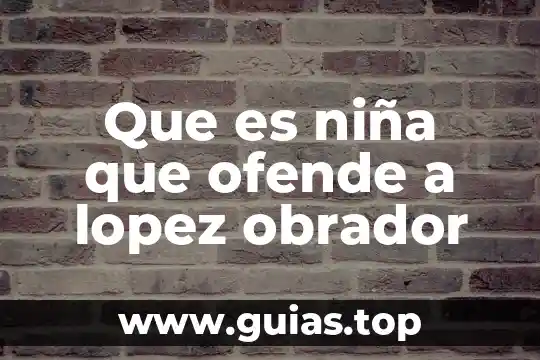 Que es el analisis de riesgo financiero 3 Que es niña que ofende a lopez obrador