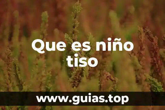 Que es un niño concepto 8 Que es niño tiso