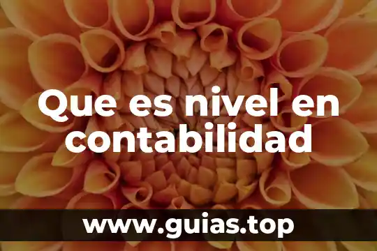 Que es asiento contable en contabilidad 5 Que es nivel en contabilidad