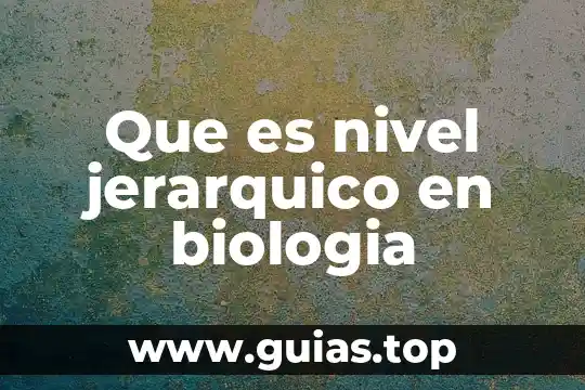 Que es familia jerárquico vertical 3 Que es nivel jerarquico en biologia