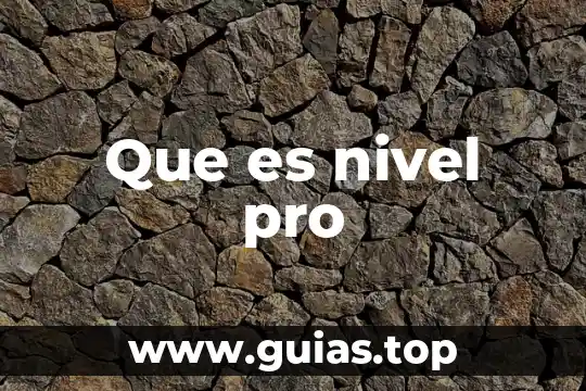 Principio de pro persona que es 6 Que es nivel pro