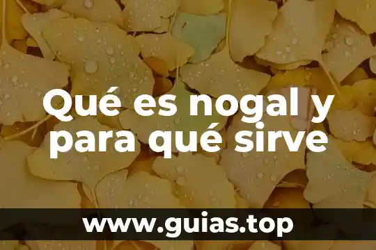 Que es necesidades y su tipos en economia 7 Qué es nogal y para qué sirve