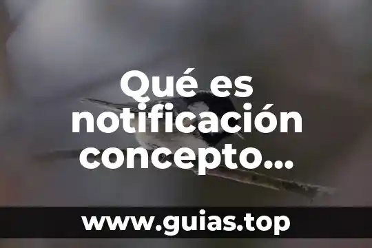 Qué es el sistema jurídico en derecho 7 Qué es notificación concepto jurídico
