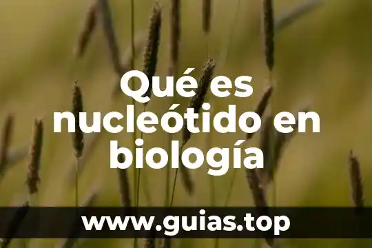 Tipos de distribución uniforme para qué es biología 8 Qué es nucleótido en biología