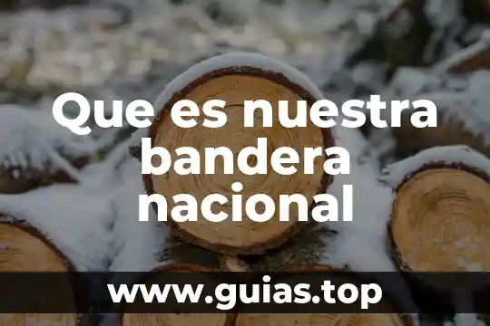 Mujeres en el sepulcro una historia que es nuestra 5 Que es nuestra bandera nacional