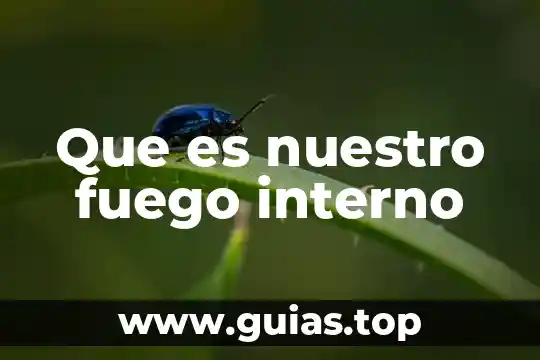 Que es el numero de nuestro bailla 4 Que es nuestro fuego interno