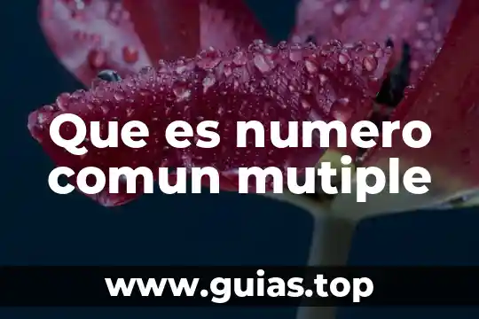 Que es la vía intrínseca extrinsecas y comun 7 Que es numero comun mutiple