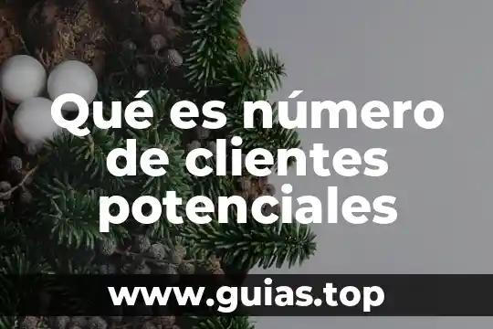 Que es el numero de clientes potenciales 4 Qué es número de clientes potenciales