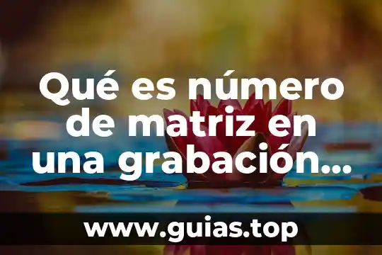 Qué es el número de habitantes por kilómetro cuadrado 4 Qué es número de matriz en una grabación de canción