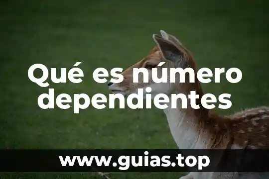 Que es numero de poder 3 Qué es número dependientes