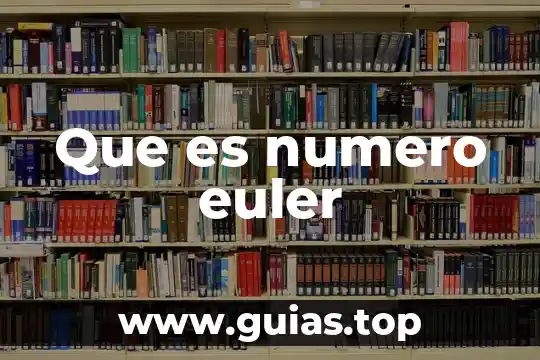 Qué es número dependientes 4 Que es numero euler