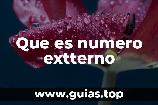 Qué es el número de identificación en INNE 7 Que es numero extterno