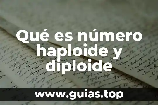 Que es el numero mcc 7 Qué es número haploide y diploide
