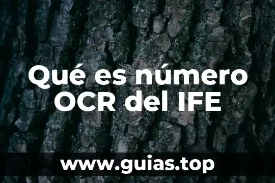 Qué es número haploide y diploide 5 Qué es número OCR del IFE