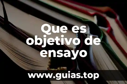 Que es el dinero ensayo 8 Que es objetivo de ensayo