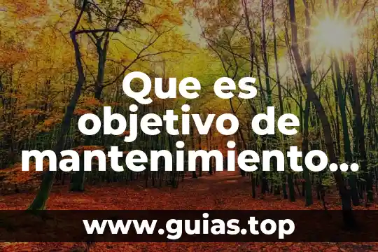 Que es asea y cual es su objetivo 3 Que es objetivo de mantenimiento de cuentas