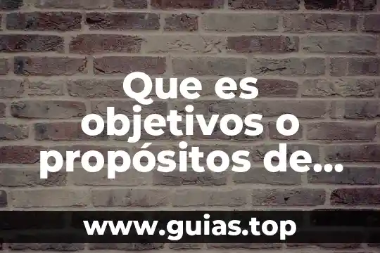 Qué es la ctm y sus objetivos 6 Que es objetivos o propósitos de una tesis