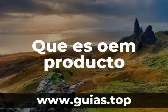Qué es la definición del producto o servicio 8 Que es oem producto