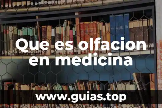 Qué es una abrazadera en medicina 4 Que es olfacion en medicina