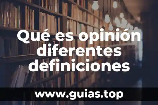Definiciones que es la suma de terminos concepto 7 Qué es opinión diferentes definiciones