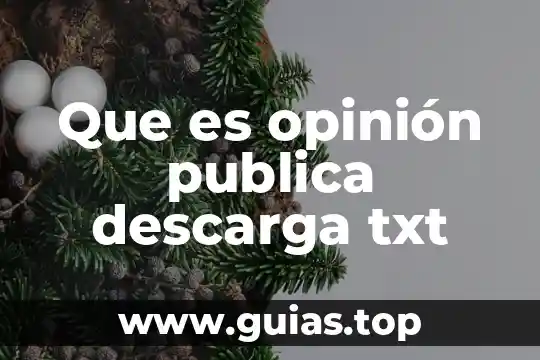 Opinion de michael rojkind sobre que es ser un arquitecto 3 Que es opinión publica descarga txt