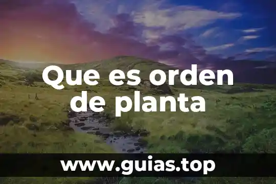 Que es la preservacion del orden de una sociedad 7 Que es orden de planta