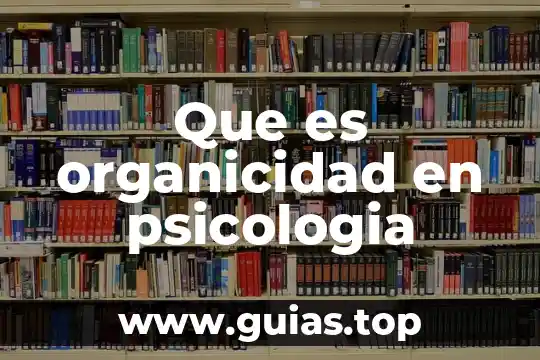En la psicología que es el espejo 3 Que es organicidad en psicologia