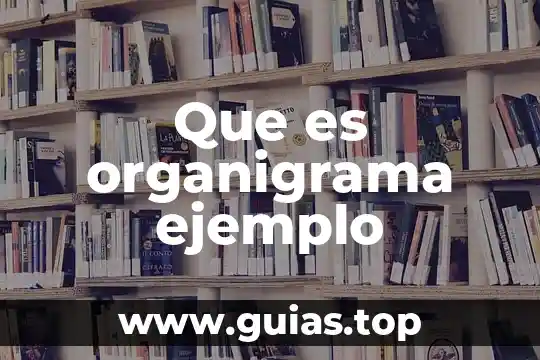 Que es el concepto pasivo en contabilidad ejemplo 7 Que es organigrama ejemplo
