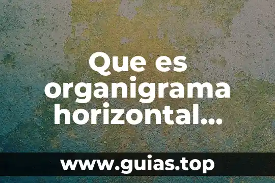 Que es competitividad en una empresa ejemplo 5 Que es organigrama horizontal ejemplo