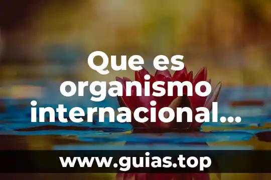 Qué es ing en producción animal 7 Que es organismo internacional de credito definicion