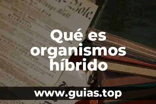 Que es la etica del cuidado concepto 3 Qué es organismos híbrido