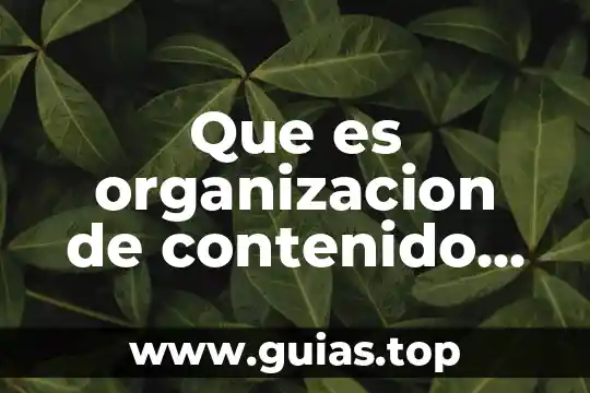 Que es una organizacion ejidal 3 Que es organizacion de contenido en aspecto academico