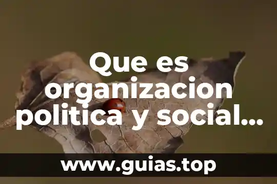 Que es una esfera social 3 Que es organizacion politica y social de los toltecas