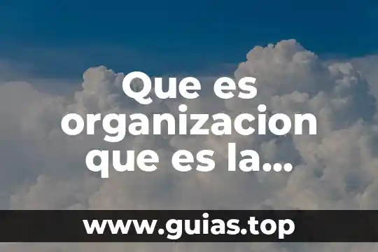 Qué es una organización económica definición 8 Que es organizacion que es la direccion en le proceso administrativo