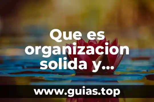 Qué es cdma en organización de computadoras 4 Que es organizacion solida y funcional