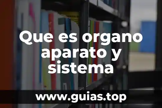 Qué es un órgano de representación gremial 4 Que es organo aparato y sistema