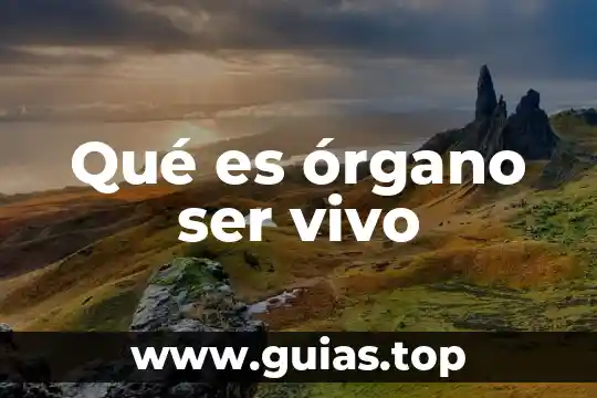 Que es ser una secretaria ejecutiva gerencial 4 Qué es órgano ser vivo
