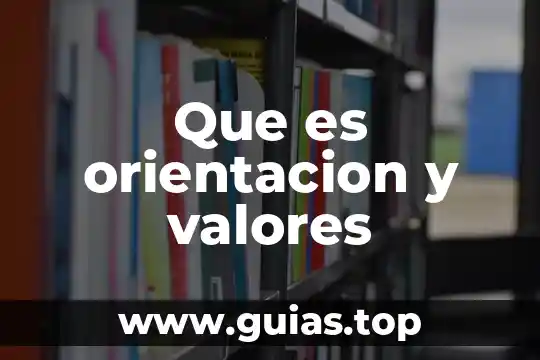 Qué es plurianual concepto 6 Que es orientacion y valores
