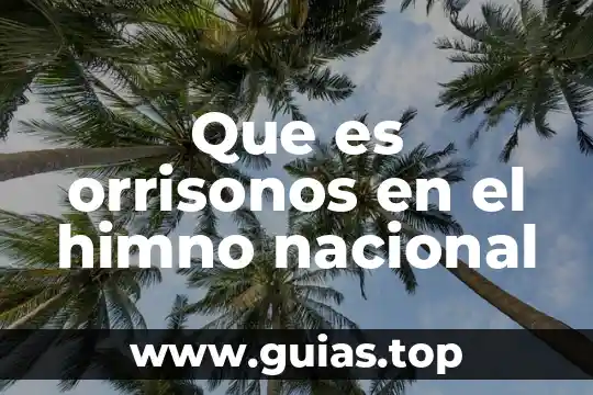 Qué es el escudo la bandera y el himno nacional 7 Que es orrisonos en el himno nacional
