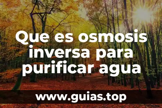 Que es una funcion par impar e inversa 8 Que es osmosis inversa para purificar agua