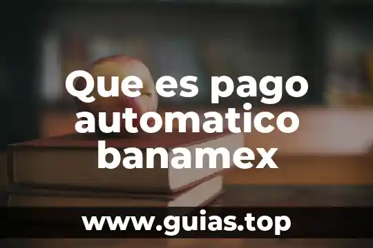 Que es el desarrollo portuario concepto 8 Que es pago automatico banamex