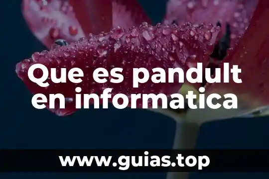 Que es la informatica en las redes 4 Que es pandult en informatica