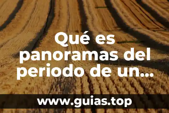 Qué es derecho internacional definición de un libro 6 Qué es panoramas del periodo de un libro